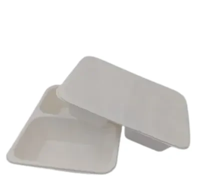 Pojemnik do zgrzewu z trzciny cukrowej 2-kom. 228x179x50mm biały a'400.webp