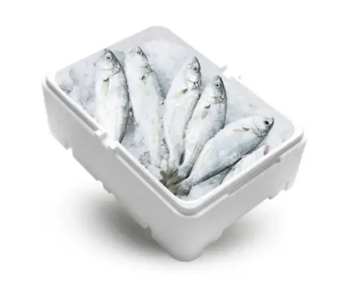 Pojemnik izotermiczny Webox (1) (1).webp