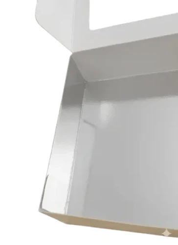 Wkładka srebrna do pudelka na sushi 19x13.webp