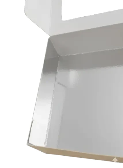 Wkładka srebrna do pudelka na sushi 19x13.webp