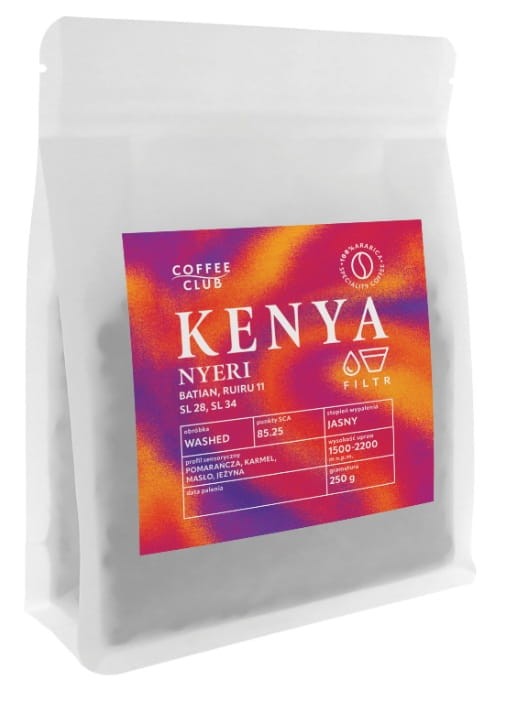 Kenia Nyeri.jpg