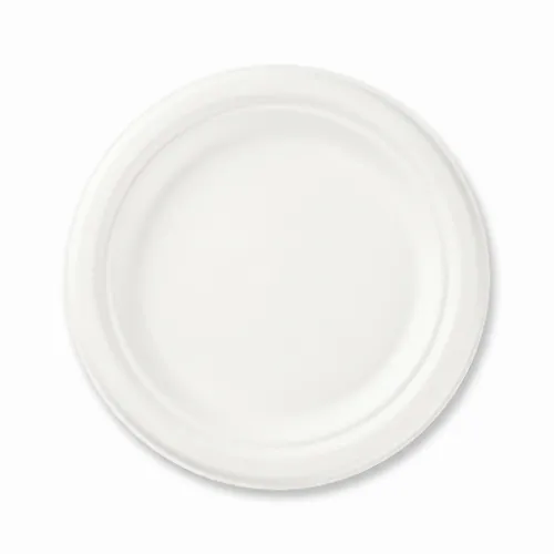 Talerz z trzciny cukrowej ø17cm okrągły..webp