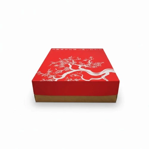 Sushi box 30x21cm widok z przodu.webp